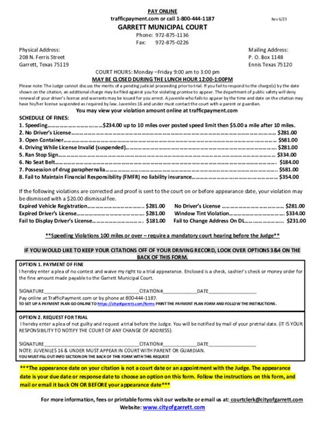 Court & Detention Services Pay Your Ticket .